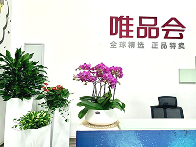 龙8-long8(国际)唯一官方网站