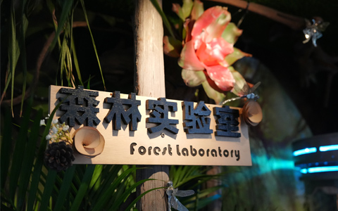 龙8-long8(国际)唯一官方网站