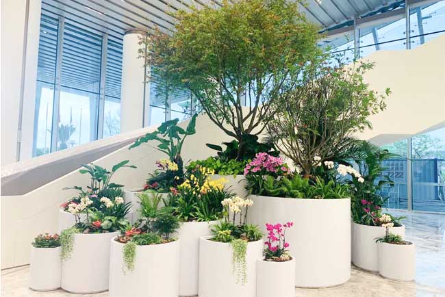 深圳前海国际聚会中心绿植效劳