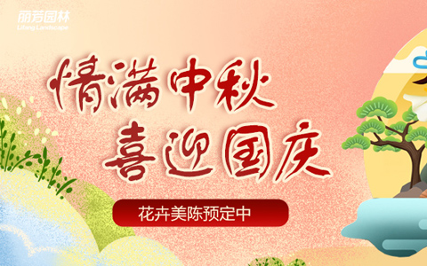 龙8-long8(国际)唯一官方网站