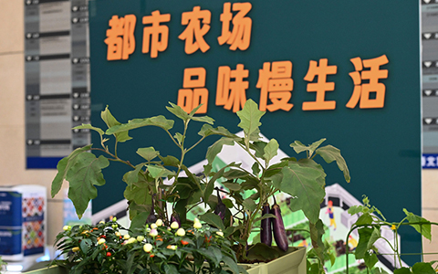 龙8-long8(国际)唯一官方网站