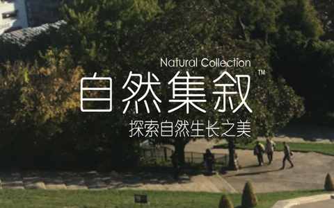 龙8-long8(国际)唯一官方网站