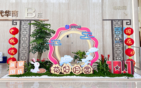 办公室绿植摆放，节日花卉设计摆放计划