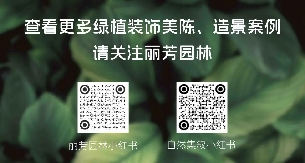 龙8-long8(国际)唯一官方网站